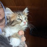 PXL_20230806_084921642