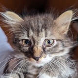 PXL_20230806_085255893