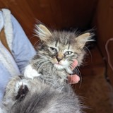 PXL_20230806_085318460