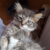 PXL_20230806_085251553