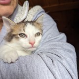 PXL_20230806_085842394