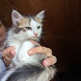 PXL_20230806_085900857