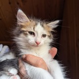 PXL_20230806_085824610