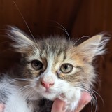 PXL_20230806_085551676