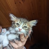 PXL_20230806_085545435