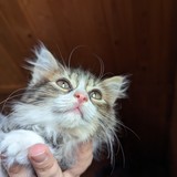 PXL_20230806_085557642