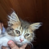 PXL_20230806_085600753