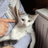 PXL_20230806_090205332