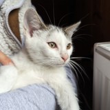 PXL_20230806_090216058.MP