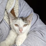 PXL_20230806_090228053