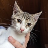 PXL_20230806_090431002