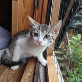 PXL_20230806_090457581