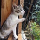 PXL_20230806_090511327