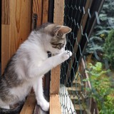 PXL_20230806_090513930