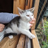 PXL_20230806_090317128