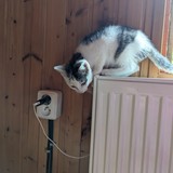 PXL_20230806_090403551.MP