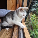 PXL_20230806_090314060