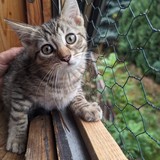 PXL_20230806_090824938