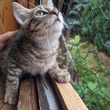 PXL_20230806_090827856