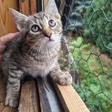 PXL_20230806_090825724