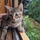 PXL_20230806_090818041