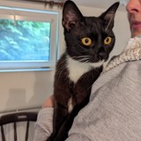 PXL_20230806_095821281