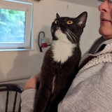 PXL_20230806_095824142