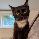 PXL_20230806_095859268