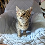 PXL_20230802_122241901~2