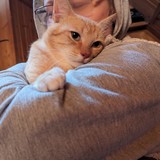 PXL_20230806_093243312