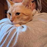 PXL_20230806_093238702