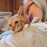 PXL_20230806_093342356