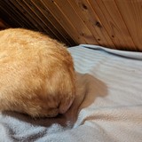 PXL_20230806_092909593