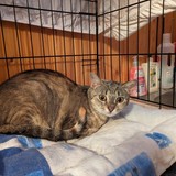 PXL_20230806_092122466