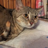 PXL_20230806_092136615