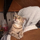 PXL_20230806_091909425