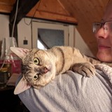 PXL_20230806_091916803