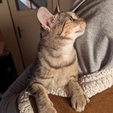 PXL_20230806_091856202