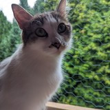 PXL_20230806_090115088