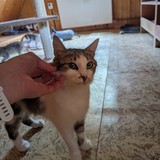 PXL_20230806_090019201