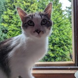 PXL_20230806_085224447