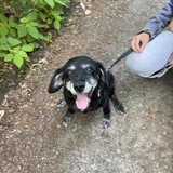 received_971805147466522