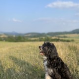 received_292530269891314