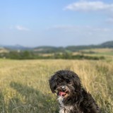 received_778972567048609