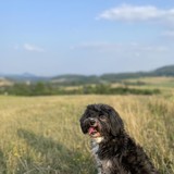 received_970155167738587