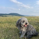 received_296431322854482