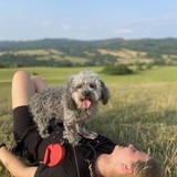 received_2278605942323251