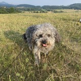 received_3429023930649317