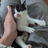 PXL_20230812_063824975