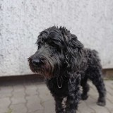 Obrázek WhatsApp, 2023-09-14 v 17.27.50